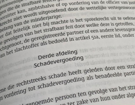 Slachtofferrechten en schadevergoeding in het strafproces